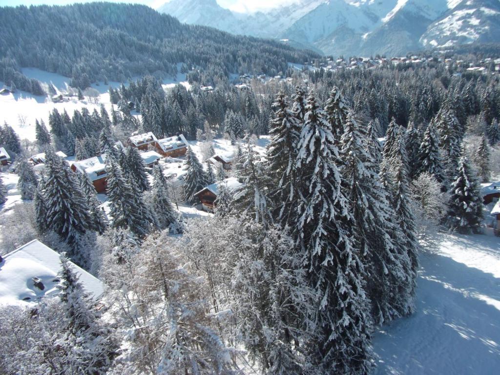 Appartamento Petit Ours Villars-sur-Ollon Esterno foto