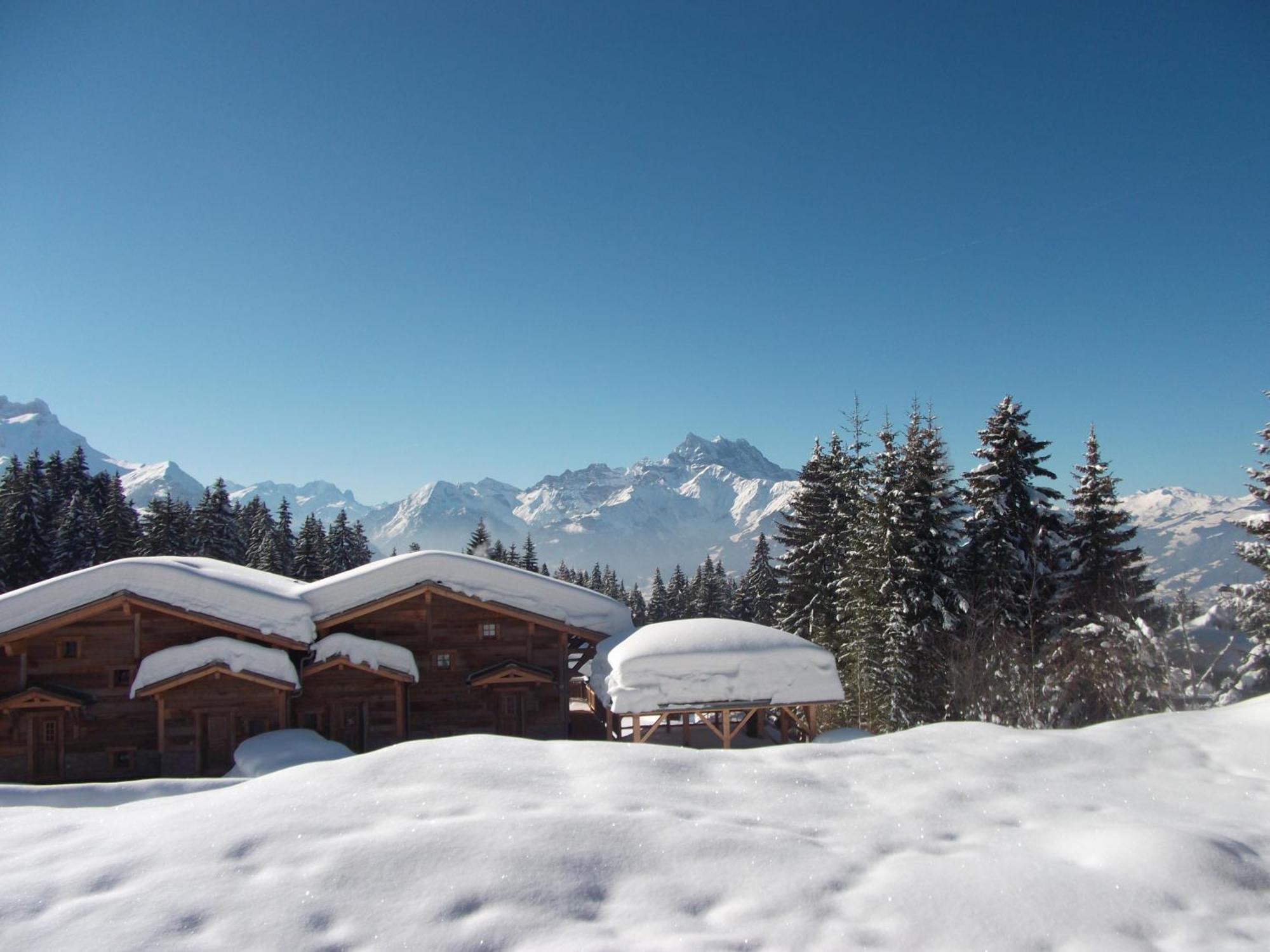 Appartamento Petit Ours Villars-sur-Ollon Esterno foto