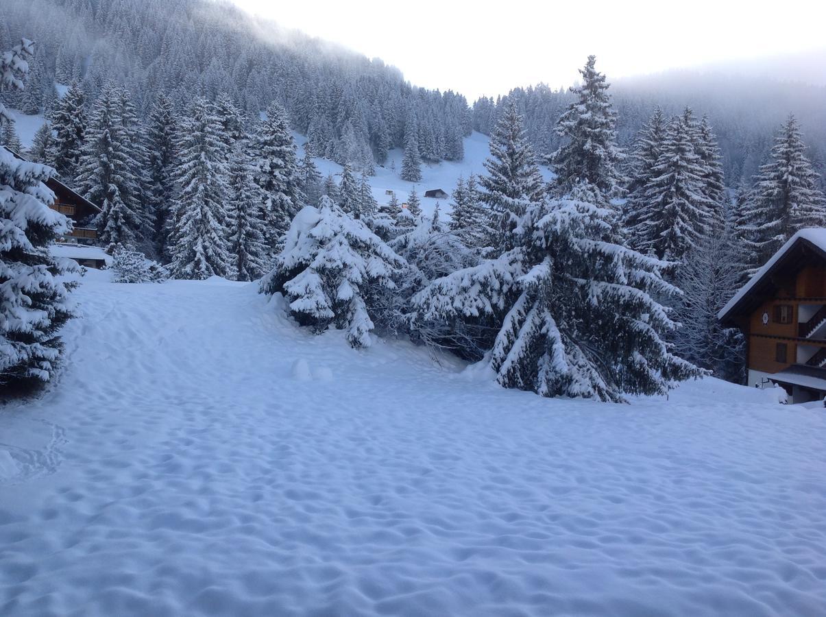 Appartamento Petit Ours Villars-sur-Ollon Esterno foto